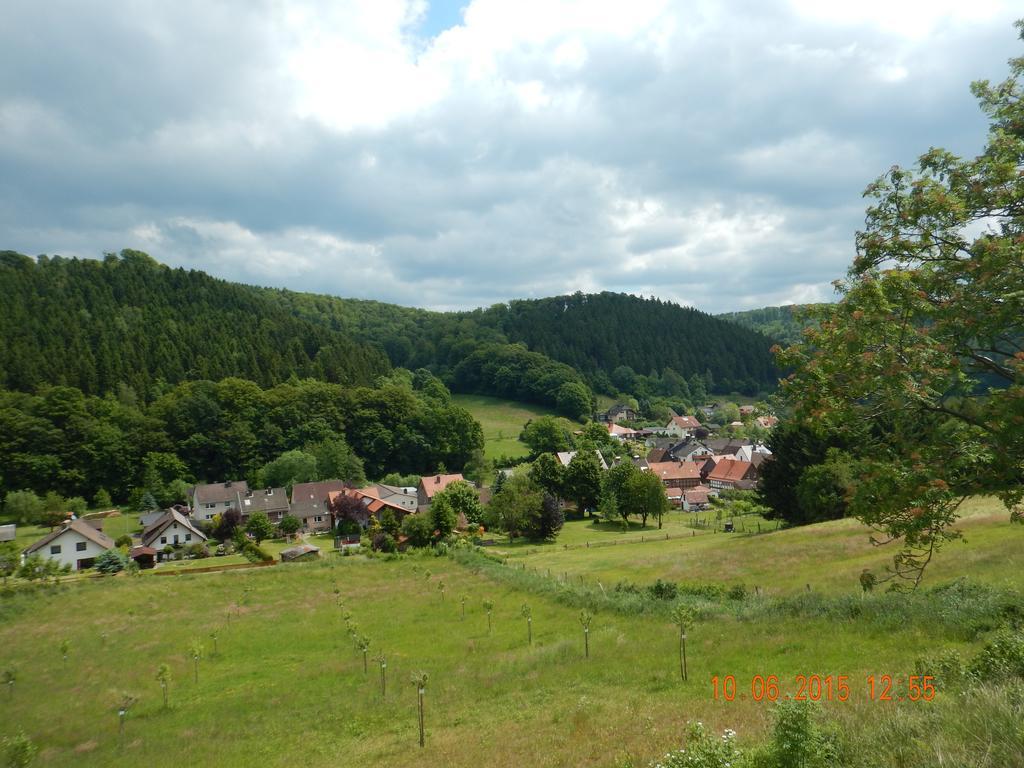Gasthaus Koehlerhof Delliehausen Εξωτερικό φωτογραφία